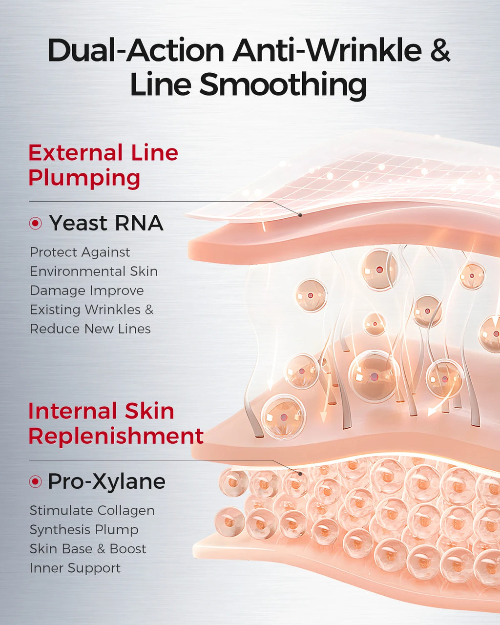 Firming & Brightening Anti-Aging Face Cream | Advanced Skin Care