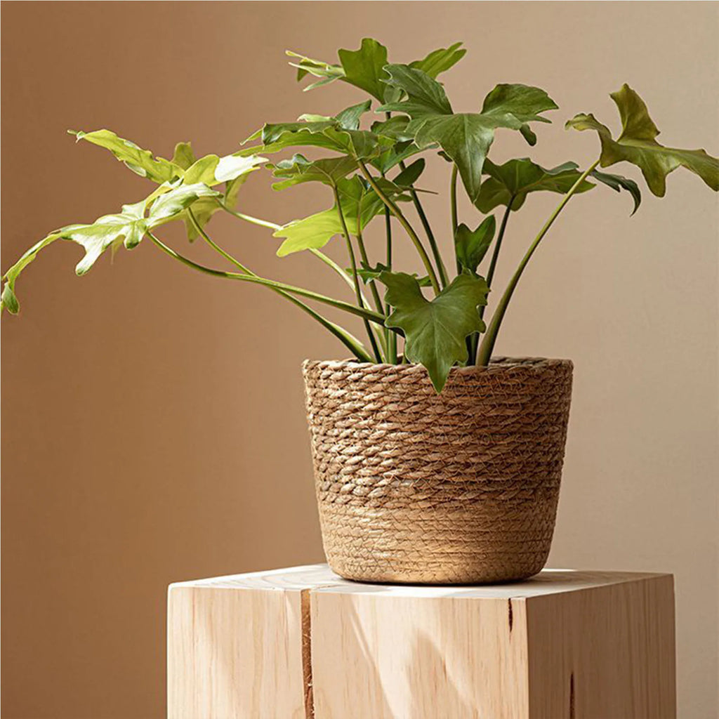 Rattan Straw Weaving Flower Plant Pot Wicker Basket Flowerpot Storage Basket Garden Flowerpot Handmade Woven Planter Basket