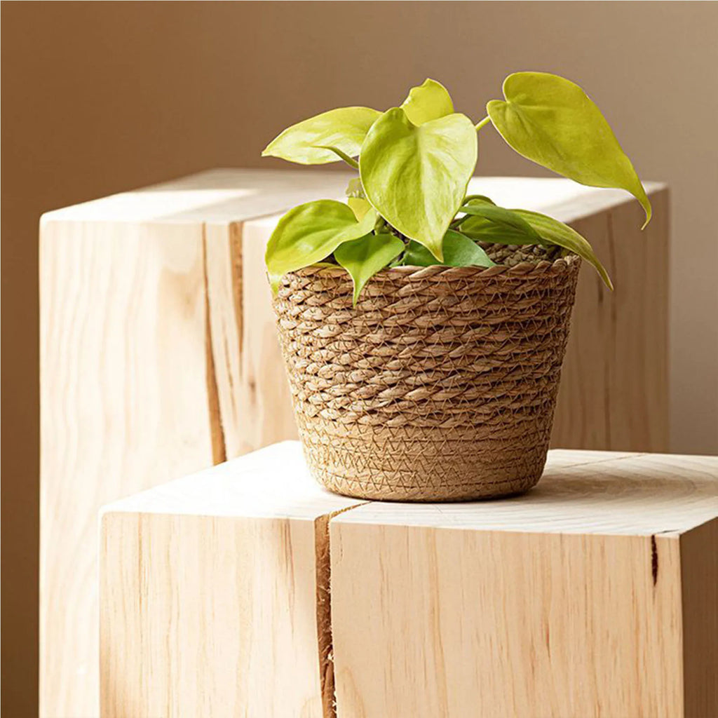 Rattan Straw Weaving Flower Plant Pot Wicker Basket Flowerpot Storage Basket Garden Flowerpot Handmade Woven Planter Basket