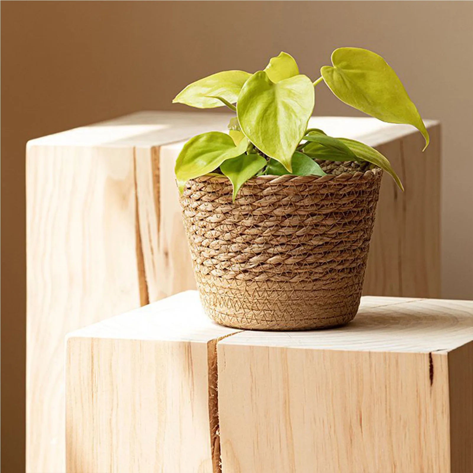 Rattan Straw Weaving Flower Plant Pot Wicker Basket Flowerpot Storage Basket Garden Flowerpot Handmade Woven Planter Basket