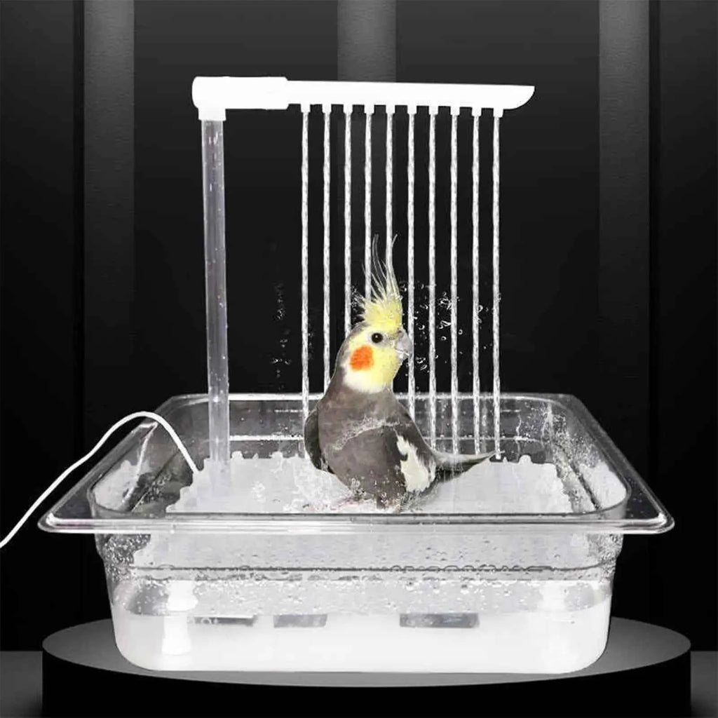 Parrot Automatic Bathing Set Include Pump Head USB Cable Fountain Cage Bird Bath With Running Water Automatic Pet Tool For Birds